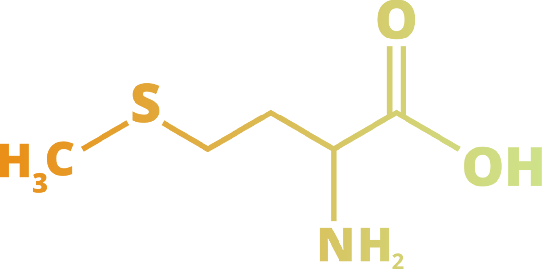 Molekül